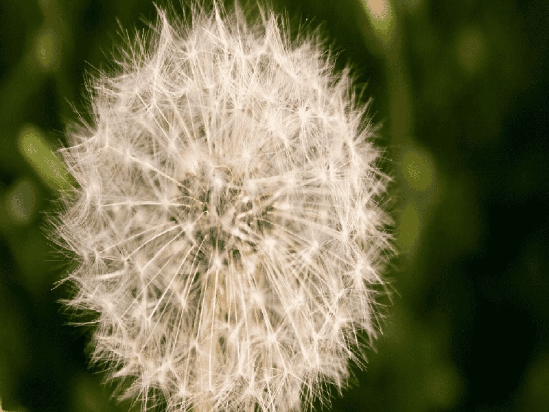 试管前排精过多（济南红会福娃娃医院费用）