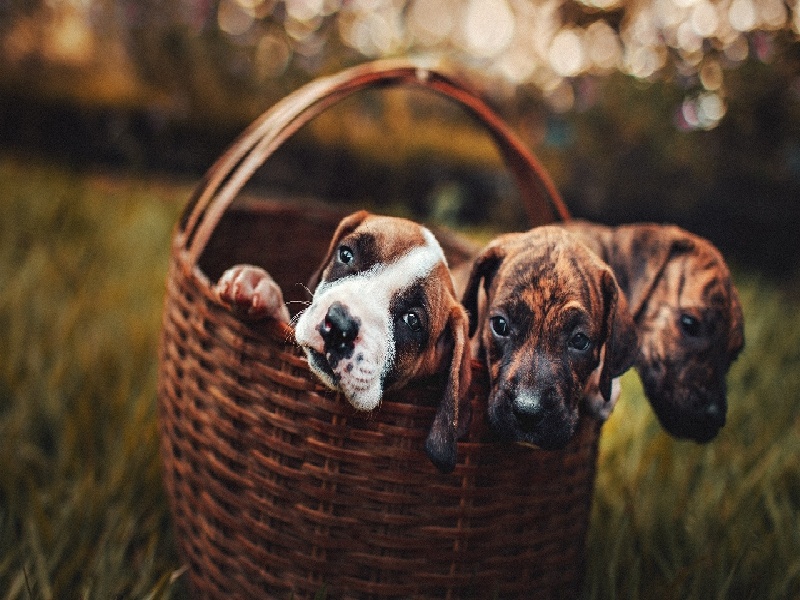 重庆试管不打肝素么（做试管不戒烟行吗）